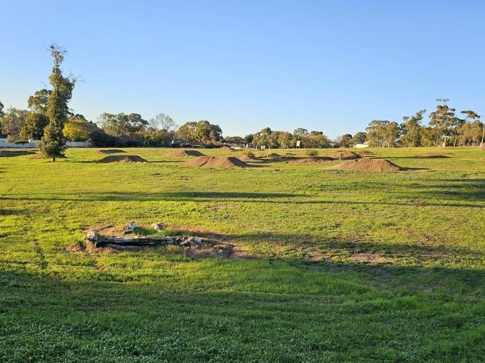 Unplanted reserve with dirt bike jumps