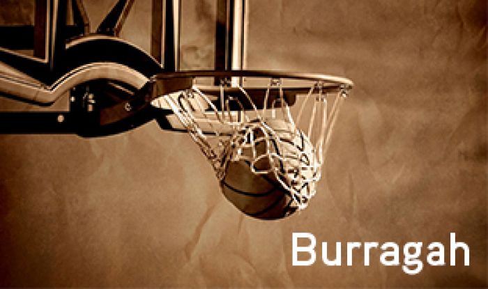 Basketball hoop and ball