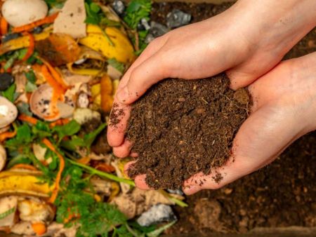 Hands holding soil
