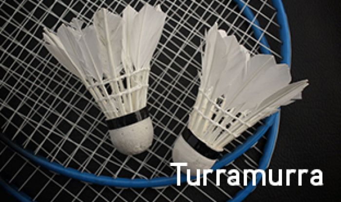 Two shuttlecocks and badminton racquet