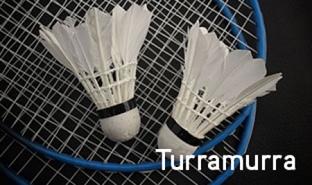 Two shuttlecocks and badminton racquet