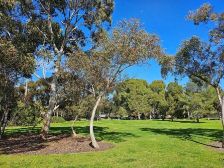 Tree shaded reserve