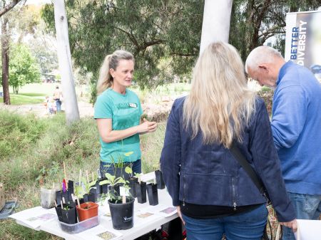 Person giving plant advice to customers