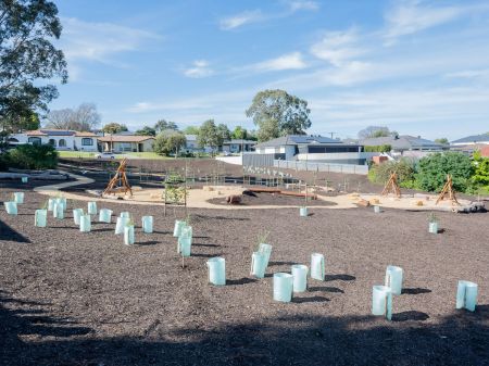 Play space and new tree planting