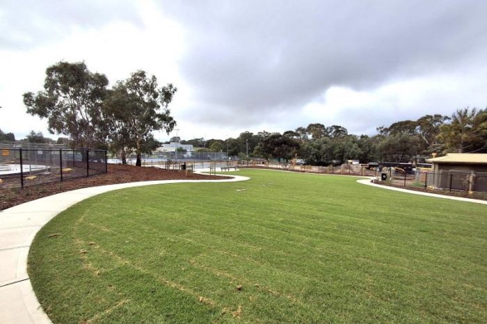Tilley Recreation Dog Park grassed area