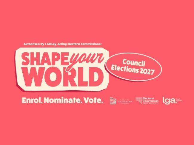 Shape your world - Council elections coming in early 2027 