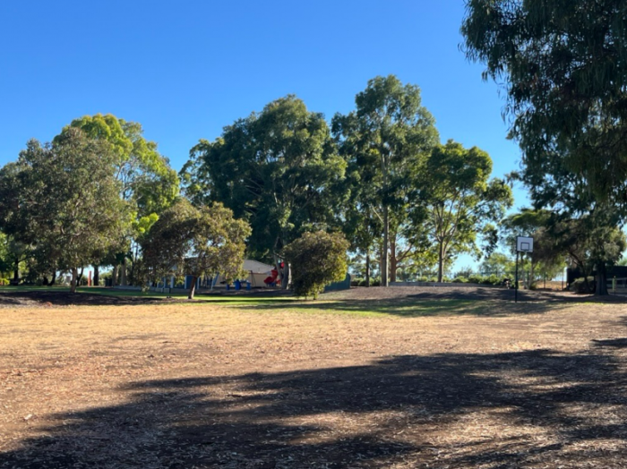 Grass oval bordered by trees 